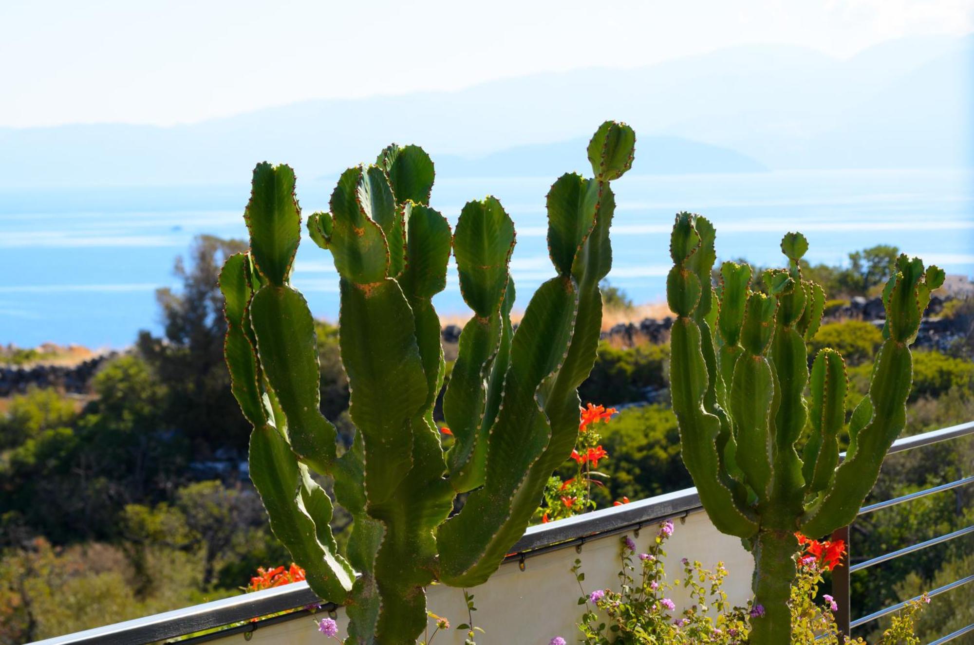 Anemos Elounda Villas Екстериор снимка